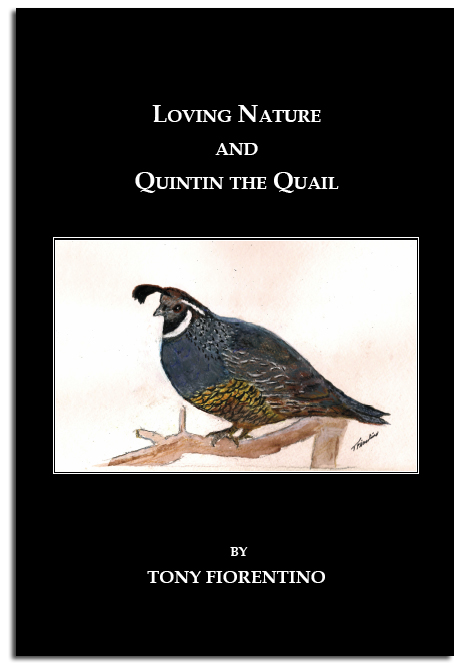 Loving Natuure and Quintin the Quail